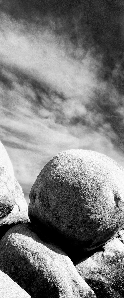 ROLLING STONE Joshua Tree National Park CA by William Dey