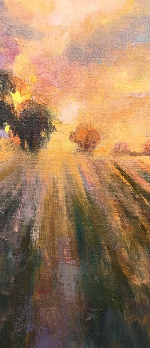 Fields of Gold by Emily Lane