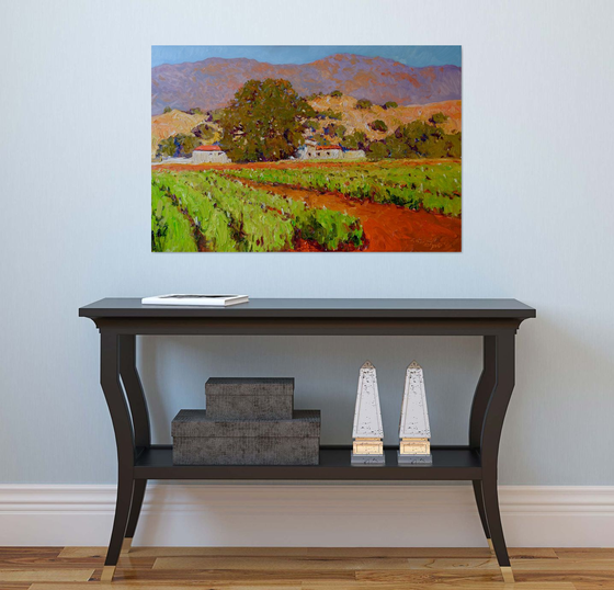 Southern California Vineyards