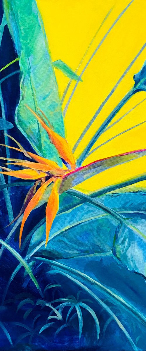 Strelitzia by Sara Kern Gaćeša