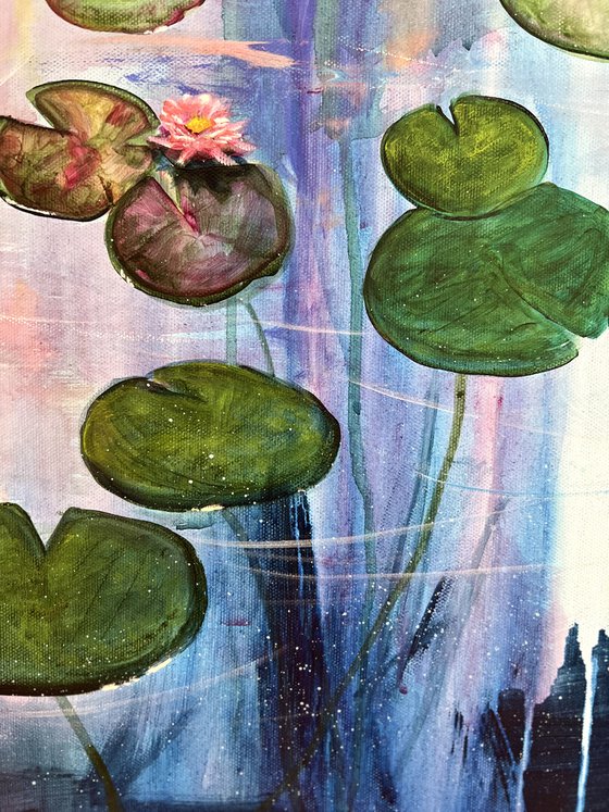 Water Lilies 6