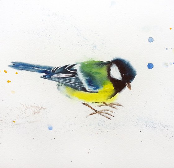 Great tit #3 - bird, birds, animals, wildlife watercolour painting