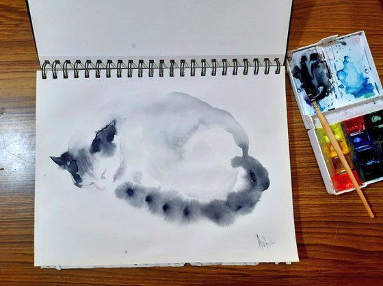 Chandru The Tuxedo cat