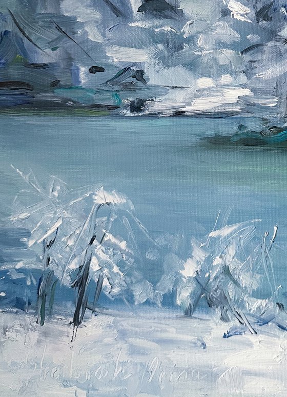 Winter in Central Park