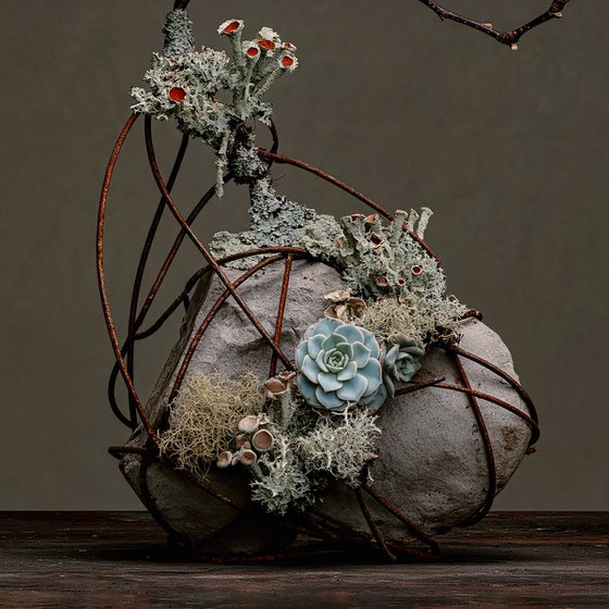 RUSTY ROOTS
- studio edition