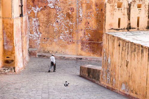 Amer Fort, Jaipur II by Tom Hanslien
