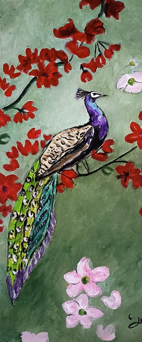 Colorful bird peacock by Isabelle Lucas