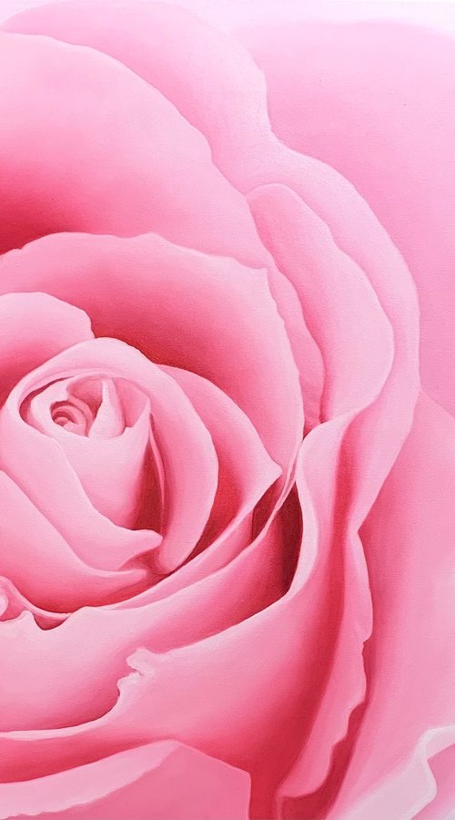 Majesty. Rose by Alla Kallass