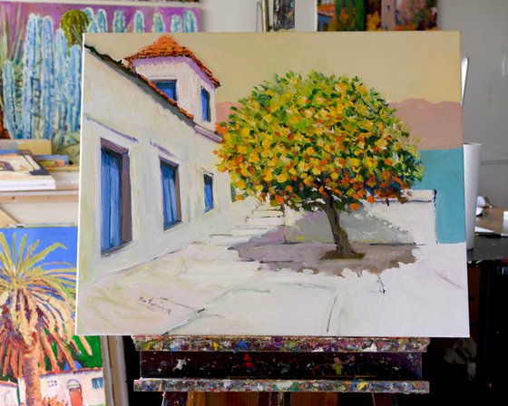Mediterranean, Morning Light