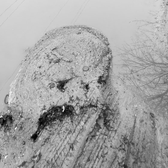 Swamp Monster (from the "Big Brother" set)