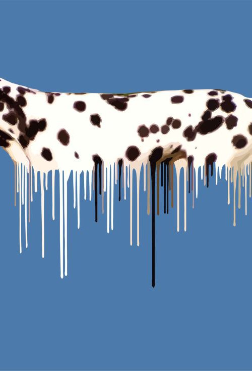 Dalmation - Blue by Carl Moore