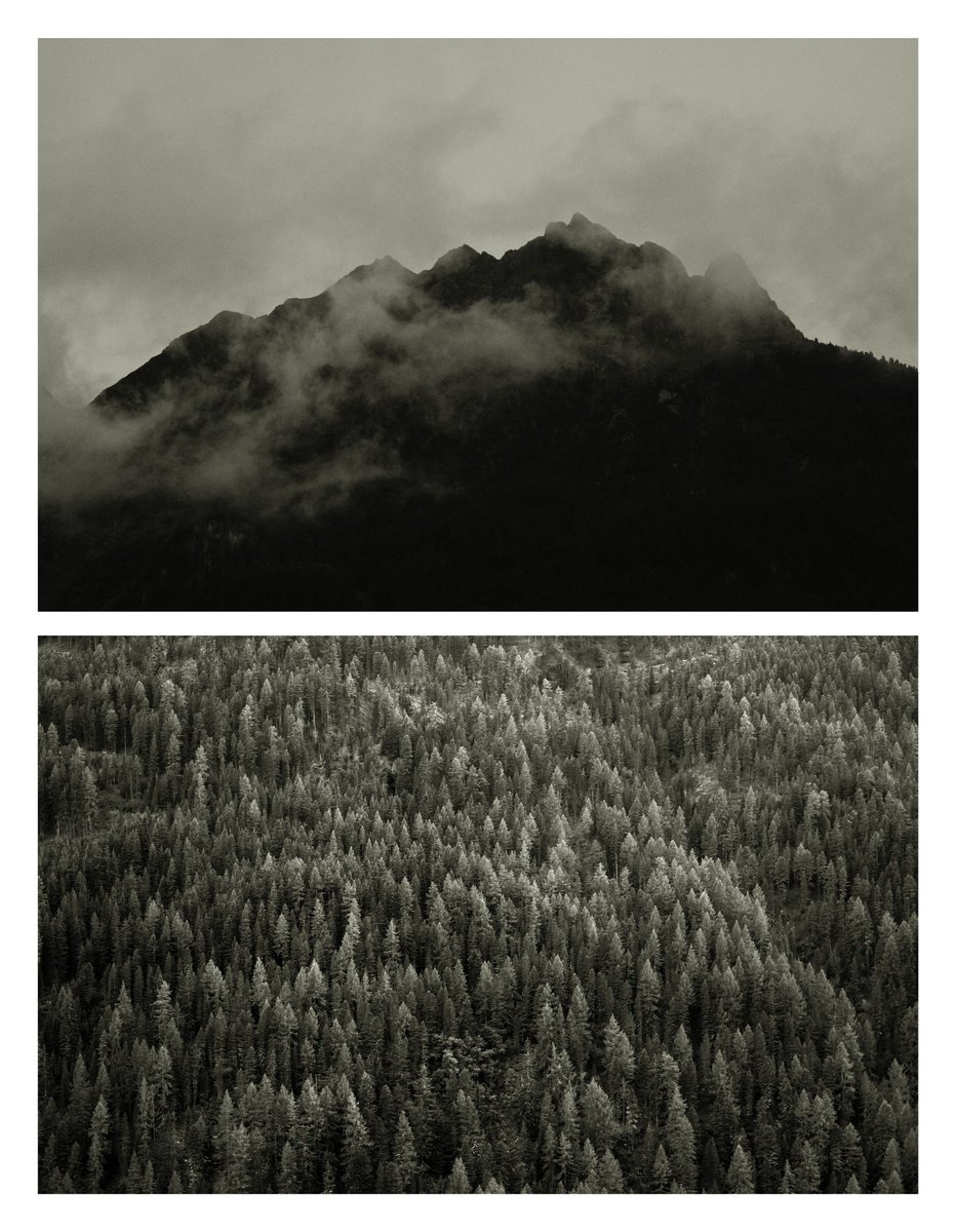 Two Landscape Studies by Manfred Moncken