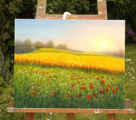 Wheat field in summer