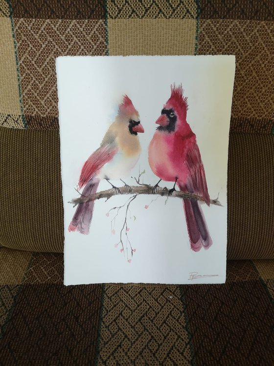 Cardinal Conversation