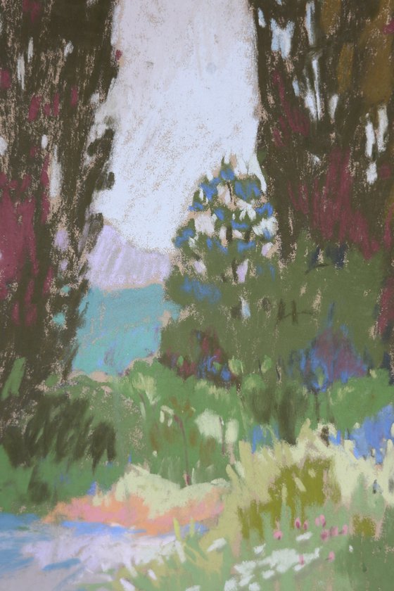 Morning in the Pyrenees