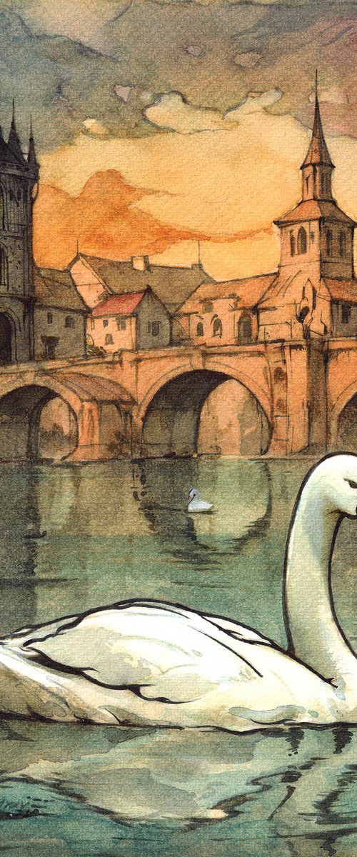 Swan in Prague by REME Jr.