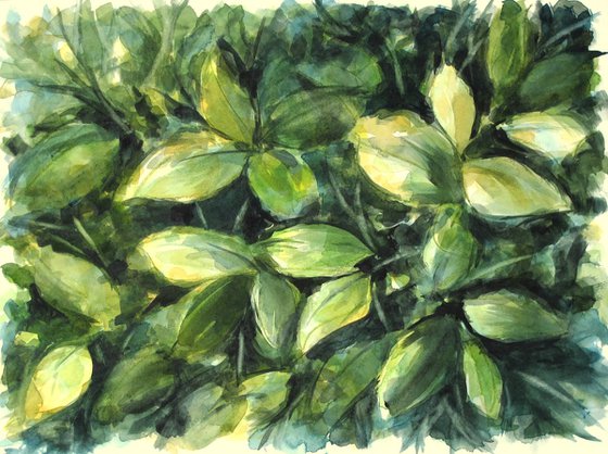 Foliage
