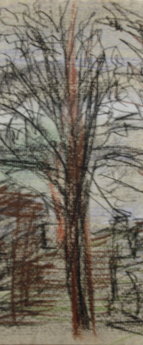 The Umber Tree Avond by Kathryn Sassall