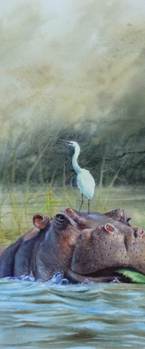 Hippo & Egret - Hippopotamus by Olga Beliaeva Watercolour