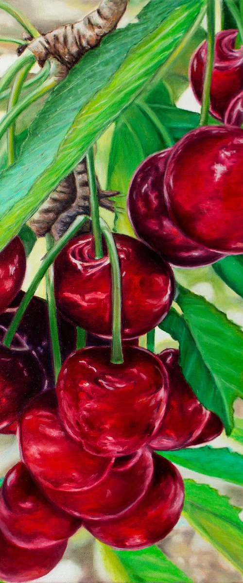 SWEET CHERRY by Vera Melnyk (gift, Original Oil Painting Gift for nature lovers) by Vera Melnyk