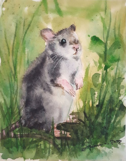 Mouse I... / FROM THE ANIMAL PORTRAITS SERIES / ORIGINAL WATERCOLOR PAINTING by Salana Art Gallery