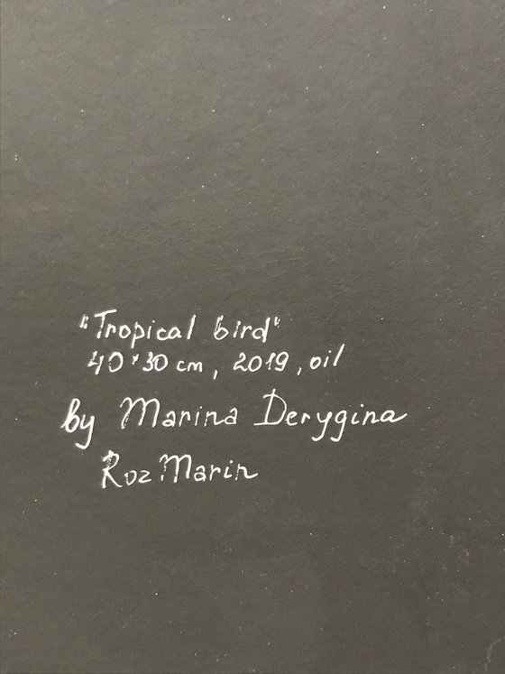 Tropical bird Animals collection