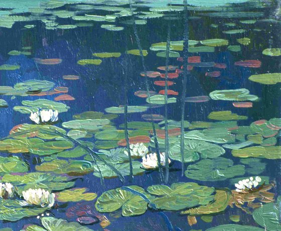 Water Lilies
