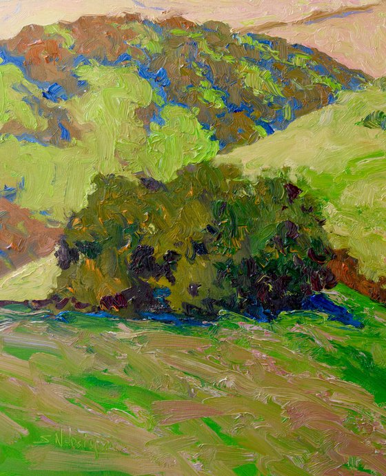 Spring in the Mountains