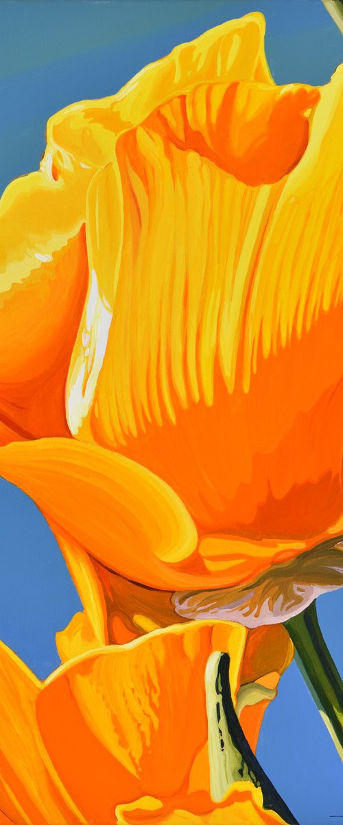 Californian Poppy and Wind #3 by Alex Nizovsky