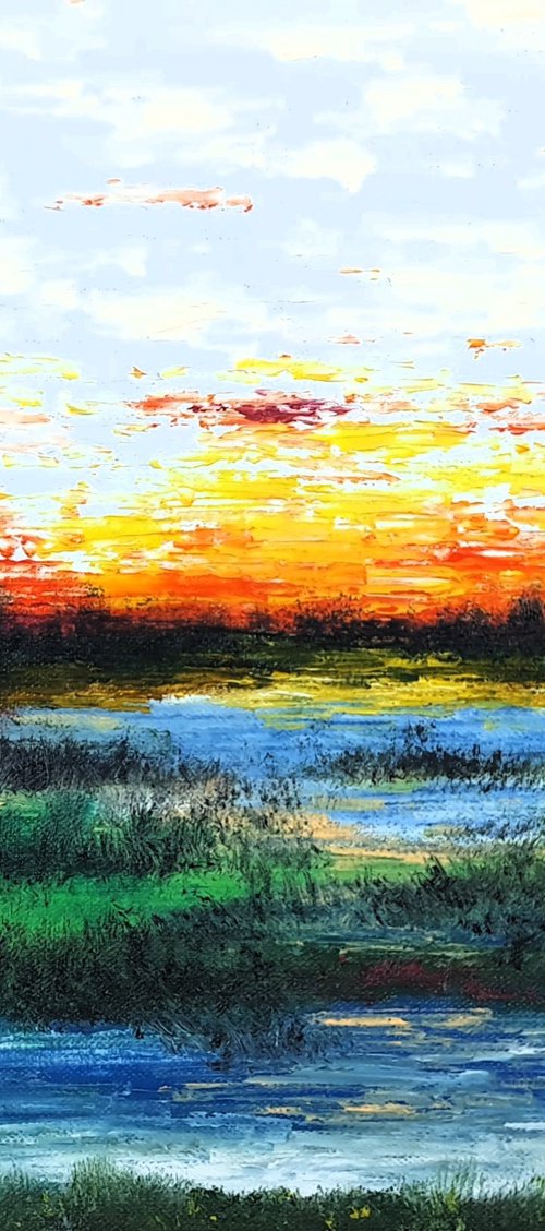 Summer Sunset by Daniel Urbaník