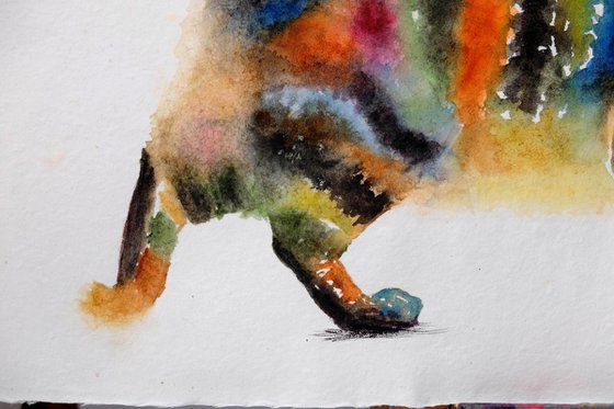 Miss Stripes Takes A Stroll