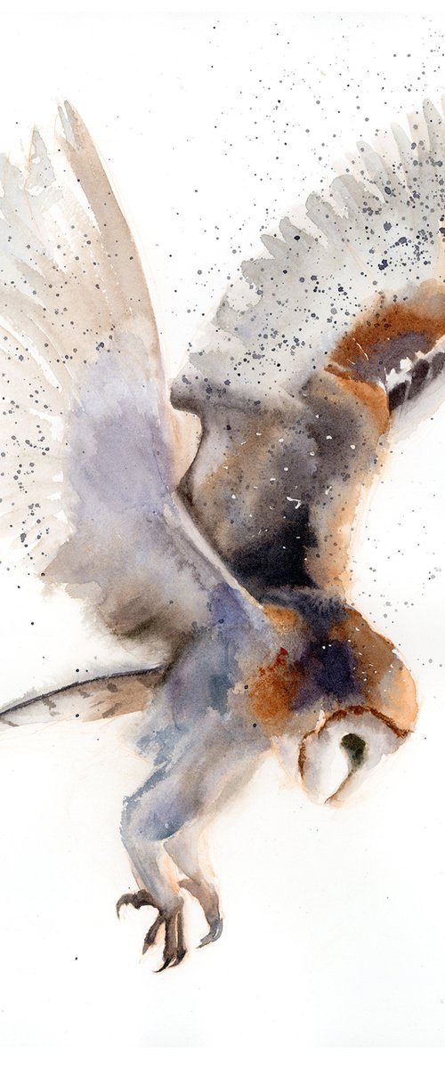 Flying Barn Owl by Olga Tchefranov (Shefranov)