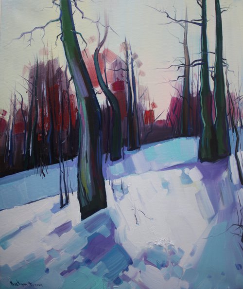 Winter trees in forest by Tigran Avetyan