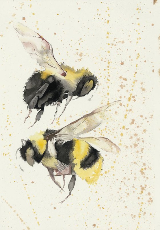 'The Pollenators'