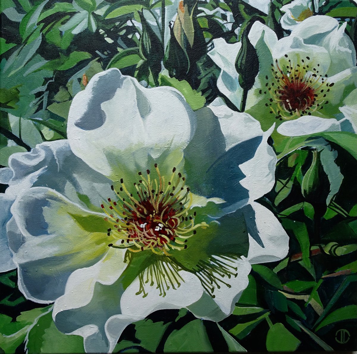 Impressionistic Botanical Acrylic Painting By Joseph Lynch, 20 X 20, Wild Rose, Original Artwork