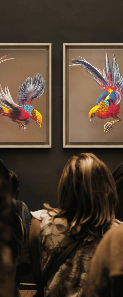 Set of 2 Golden phaesant by Yuliia Sharapova