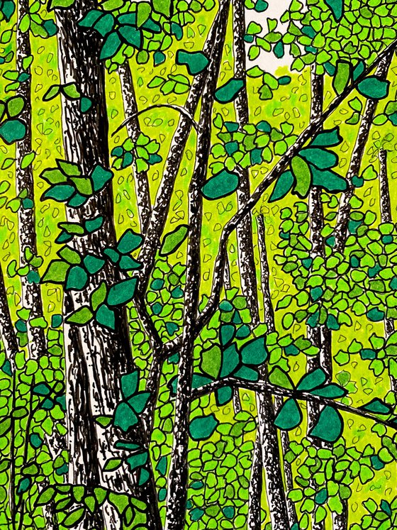 Where the Leaves Gather
