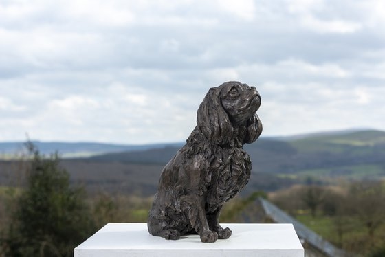 Sitting Cavalier Bronze Resin