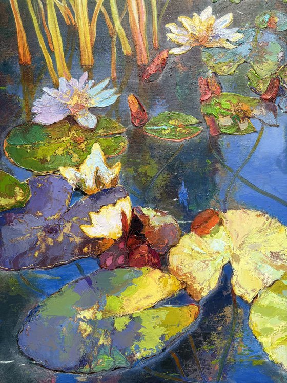 Water Lilies