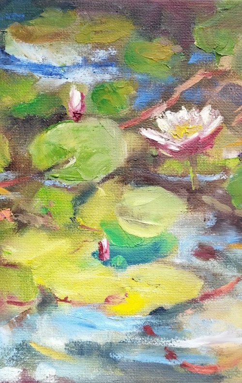 Water Lilies by Ann Krasikova