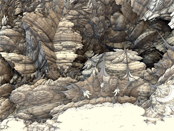 strange fossils and sedimentary rock (30x45)