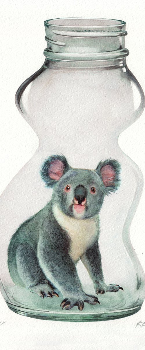 Koala in Jar by REME Jr.