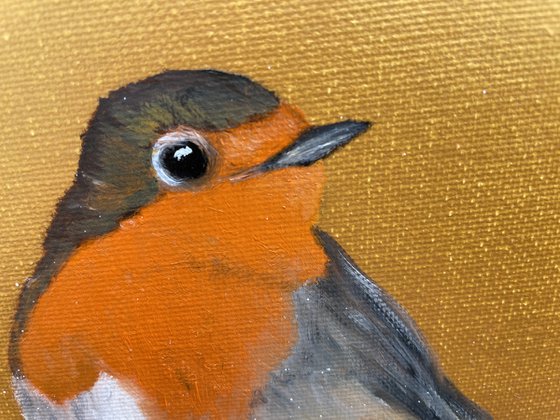 Robin Redbreast