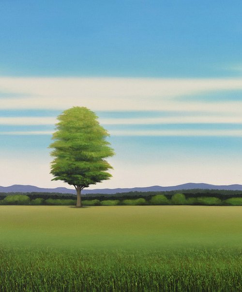 Countryside Trees - Blue Sky by Suzanne Vaughan