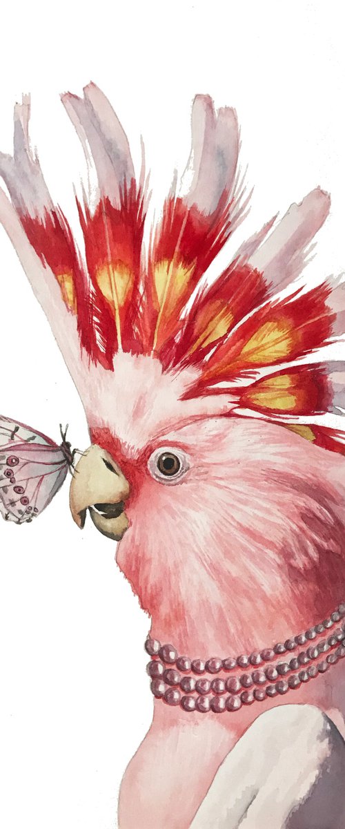 Pink Cockatoo by Lisa Lennon