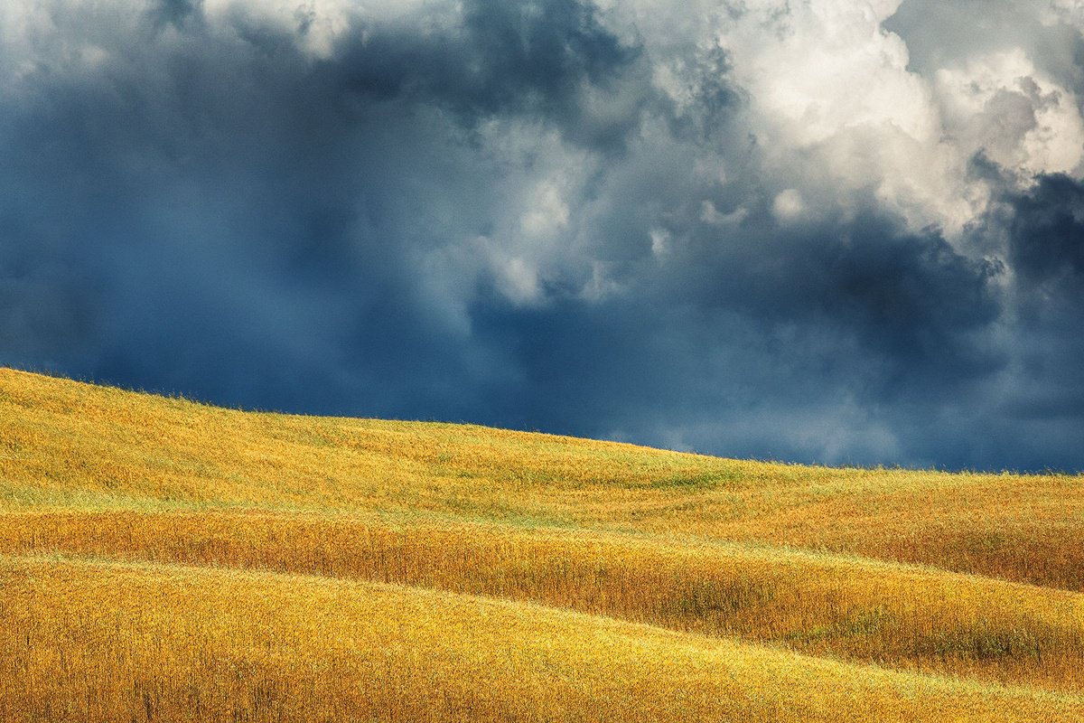 Photorealistic Landscape Photograph By Peter Zelei, 39 X 28", Summer In Tuscany Ii., Original Artwork