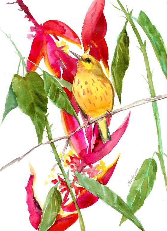 Yellow Warbler and Tropical Plants