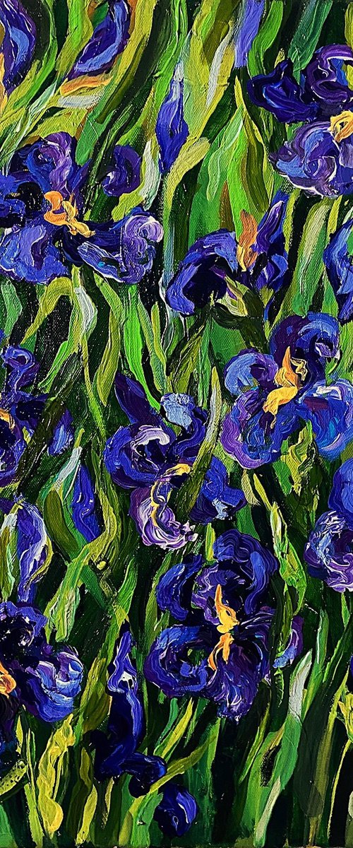 Purple Irises by Colette Baumback