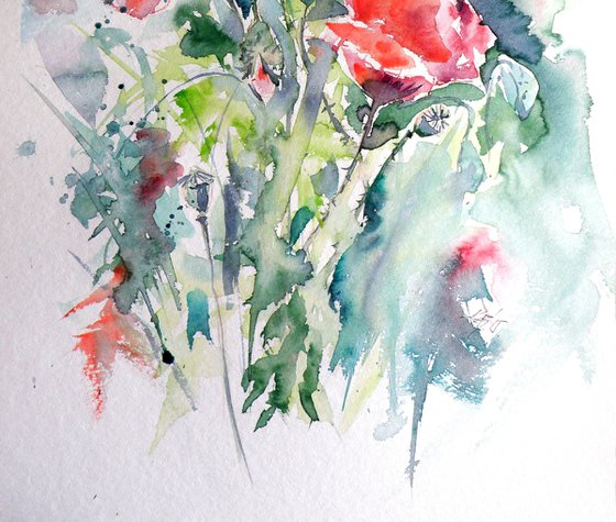 Poppies