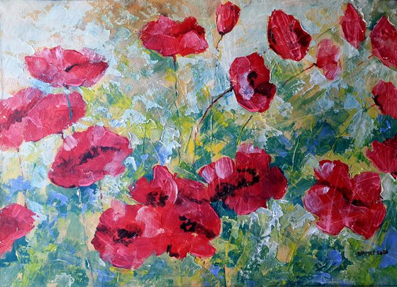 Poppies 10